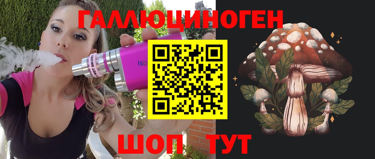 Галлюциногенные грибы MAGIC MUSHROOMS  где купить   Владивосток  Вход с VPN 