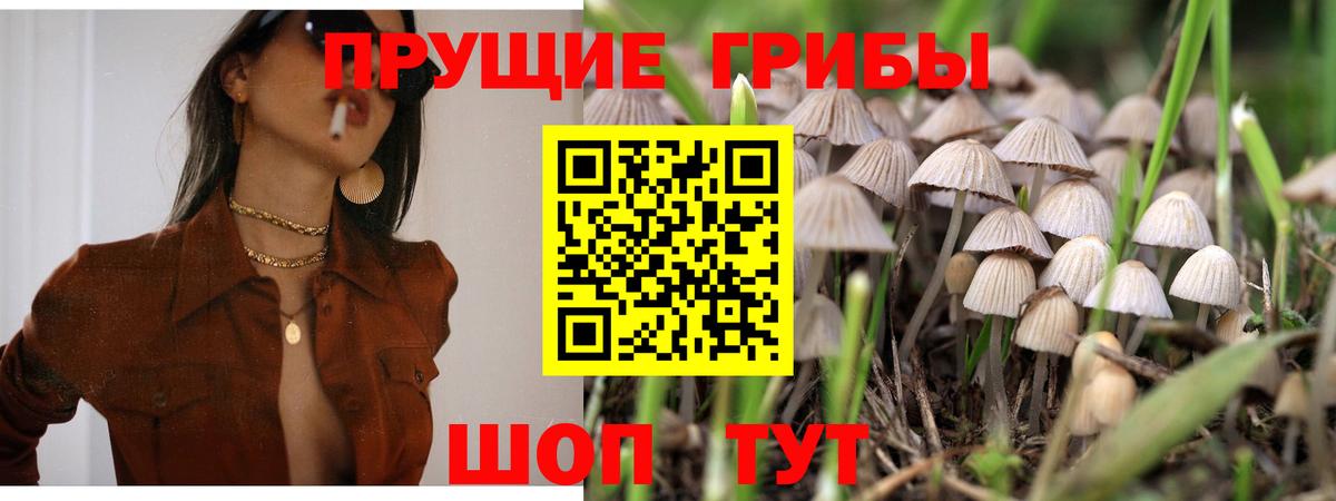 Псилоцибиновые грибы MAGIC MUSHROOMS Владивосток